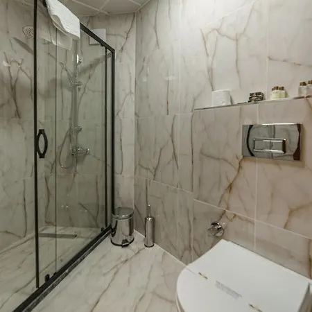 酒店 World Heritage Center 伊斯坦布尔