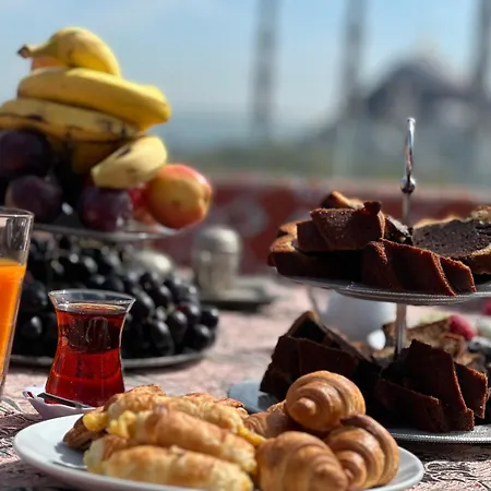 酒店 World Heritage Center 伊斯坦布尔